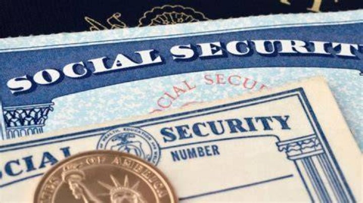 Can I get my dog a social security number?