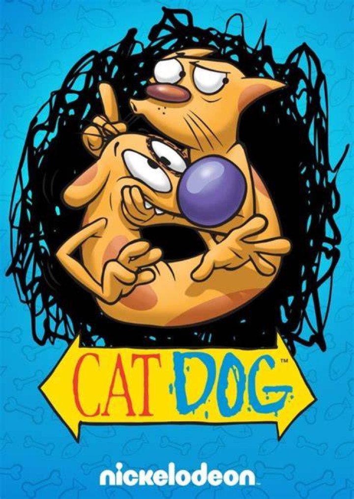 Cat (CatDog) Fan Casting