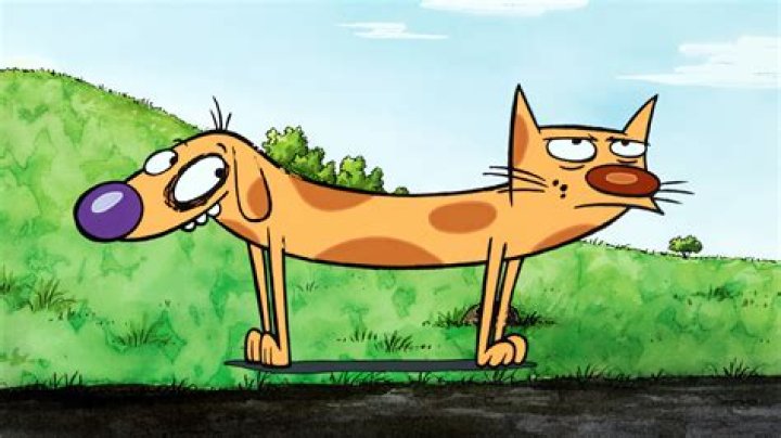 CatDog