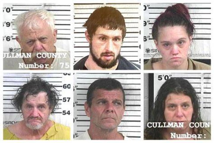 CCSO arrest roundup The Cullman Tribune