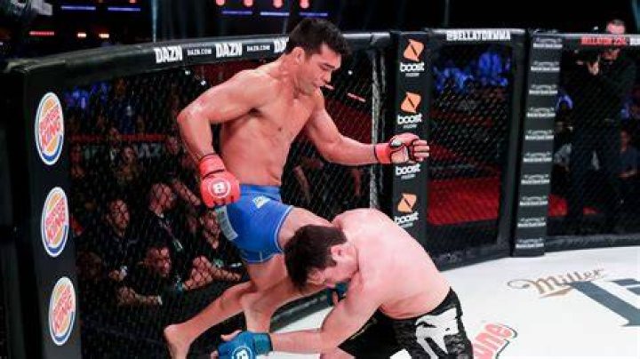 Chael Sonnen Bellator 222