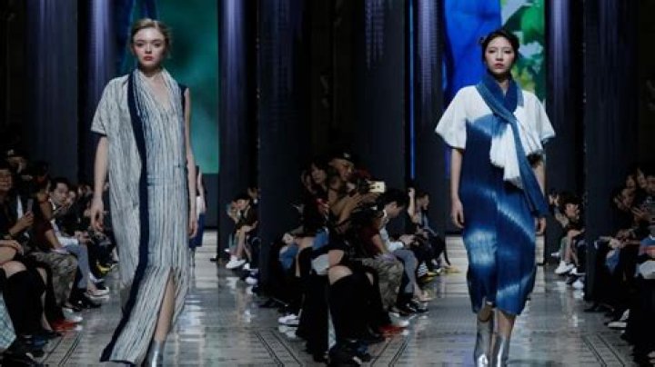 Chaneluzi: Unveiling The Innovative World Of Sustainable Fashion