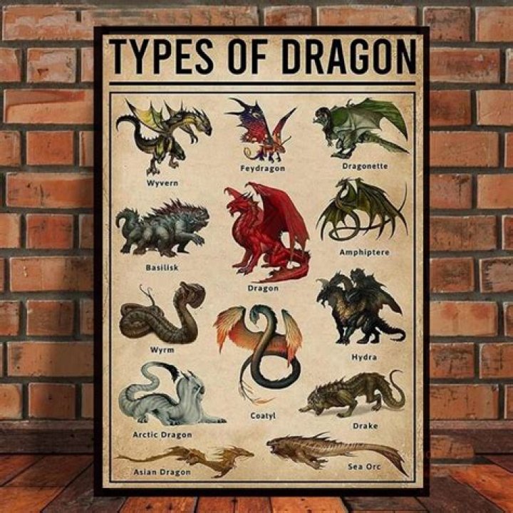 Choosing The Perfect Dragon Nickname: A Comprehensive Guide
