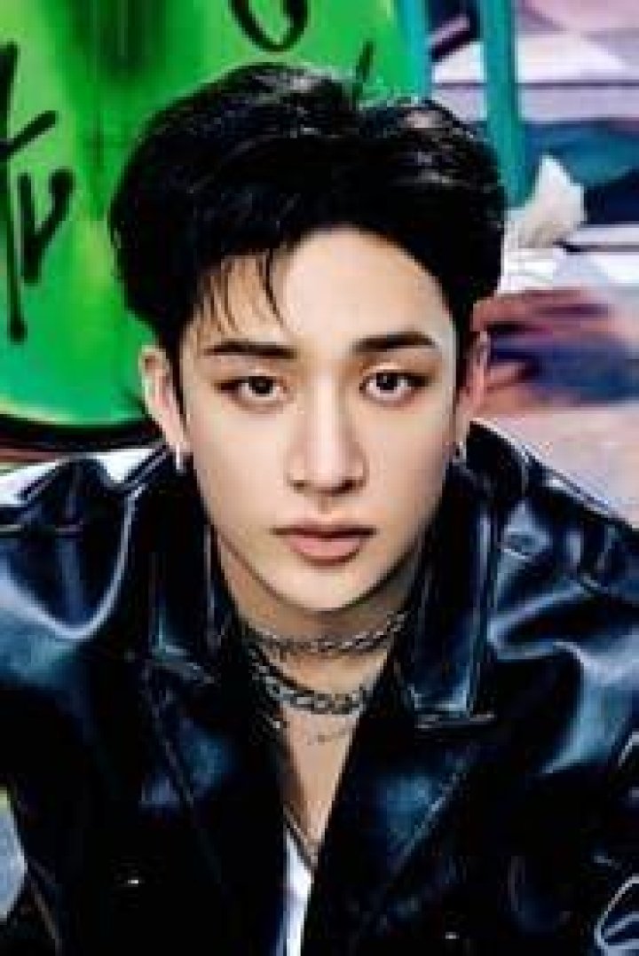 Chris Bang (Bang Chan) Fan Casting