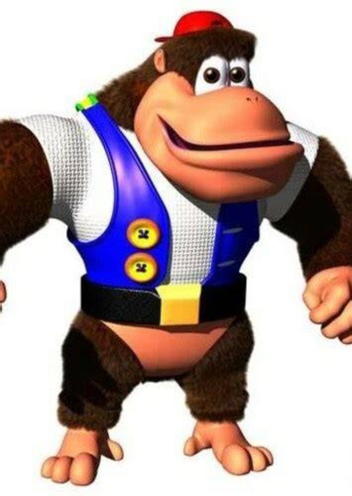 Chunky Kong Fan Casting