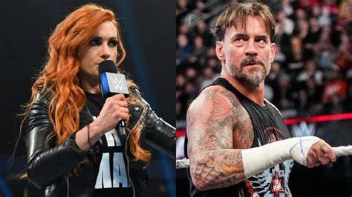 CM Punk AEW, Becky Lynch, Brock Lesnar