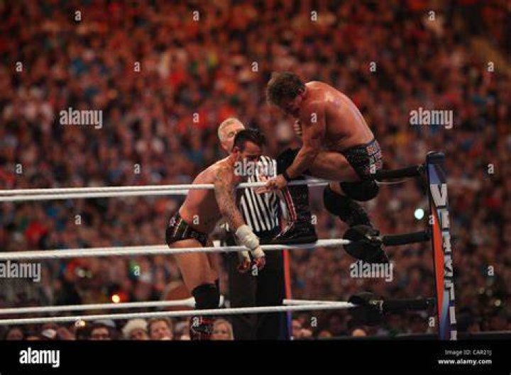 CM Punk Vs Chris Jericho Payback