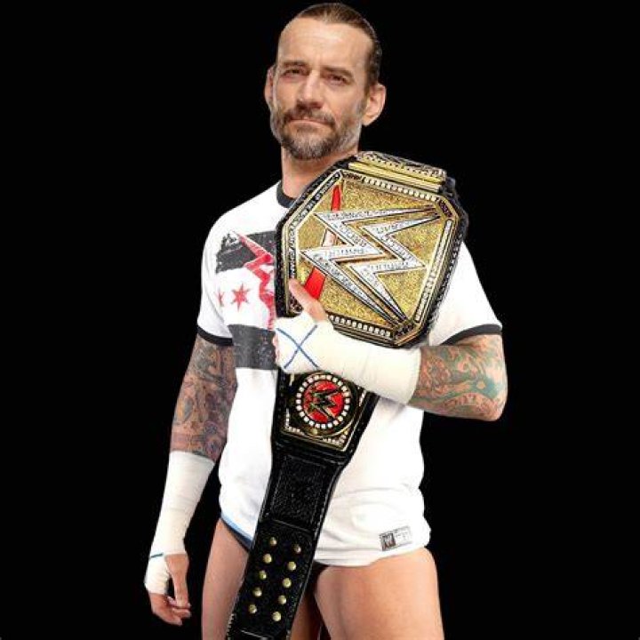 CM Punk WWE Champion Survivor Series 2011 Cropped