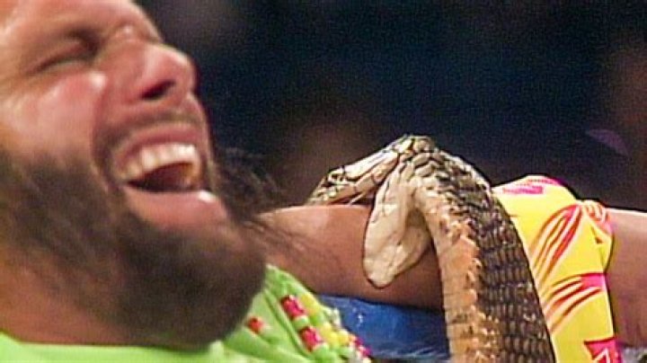 Cobra Bites Savage