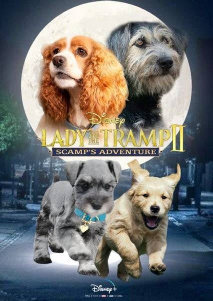 Colette Fan Casting for Lady and the Tramp II: Scamp's Adventure (Live-Action) | myCast