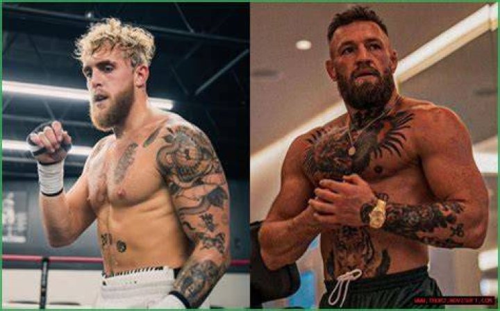 Conor McGregor Height And Weight: Everything You Need To Know