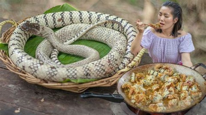 Cooking Snakes