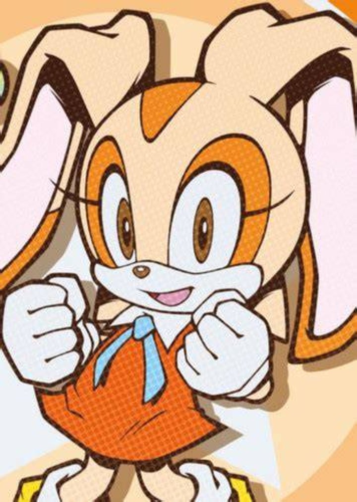 Cream the Rabbit Fan Casting for Sonic ~ Human AU Fancast | myCast