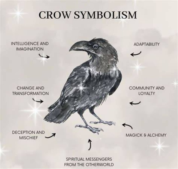 Crow Meaning: Understanding The Symbolism, Characteristics, And Significance Of Crows