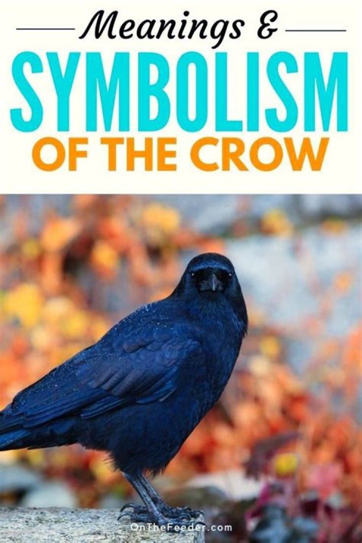 Crow Symbolism A Complete Guide Birdfact