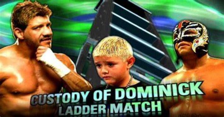 Custody of Dominick Ladder Match