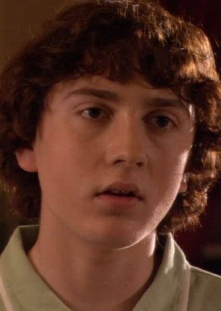 Daryl Sabara as Dustin Henderson in Stranger Things (2006-2014)