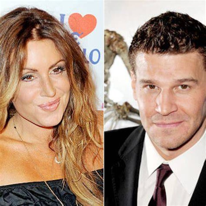 David Boreanaz, A Philanderer Cheating On Wife & Family? Impairing