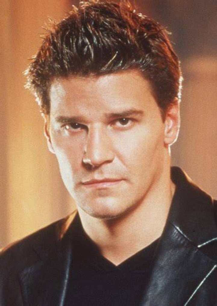 David Boreanaz as Stefan Salvatore in The Vampire Diaries (90s Cast)