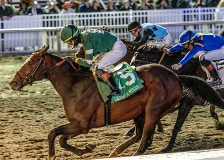 “Did Not Look Good”: Horse Racing Contender Bus Buzz Suffers Devastating Injury,
Igniting Outrage Across the Internet