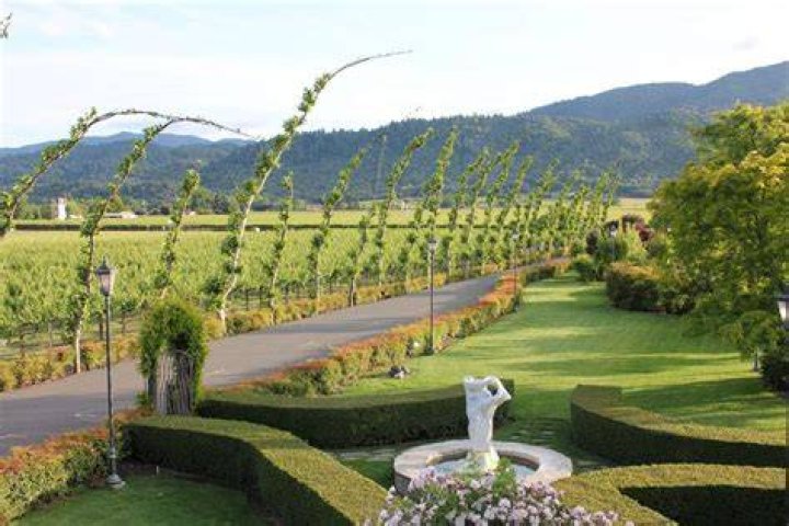 Discovering The Charm Of Peju Winery California