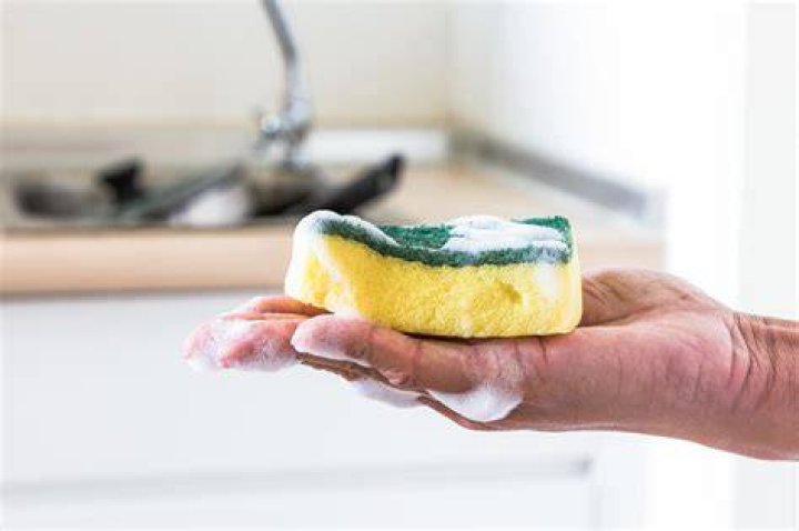 Does Your Kitchen Sponge Smell? Here's How to Clean It