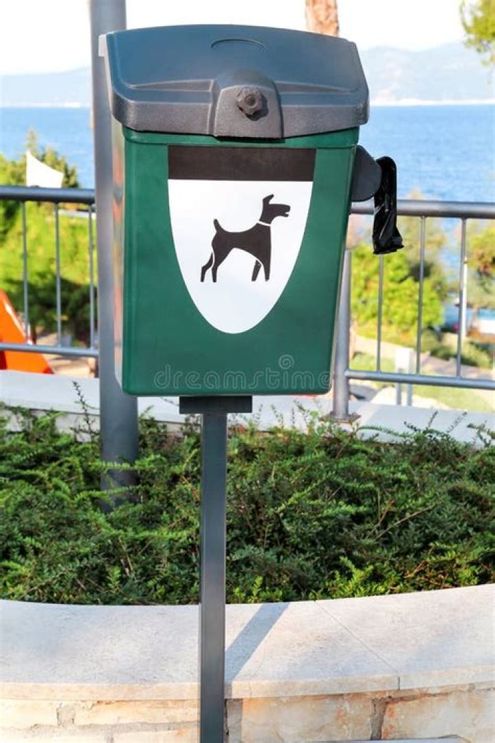 Dog Poop Near Street Lamp