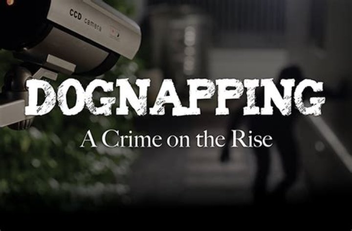Dognapping