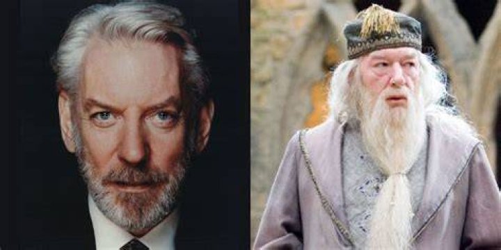Donald Sutherland as Albus Dumbledore in Harry Potter (TV Reboot)
