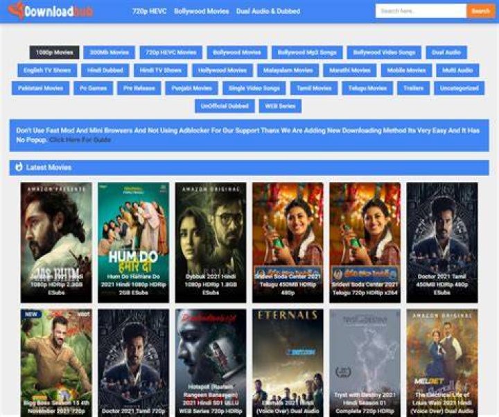 DownloadHub 2021 Download Full Movie Dual Audio 480p,720p,1080p HD For