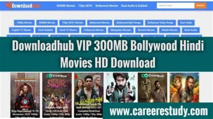 Downloadhub vip 2023, download it free