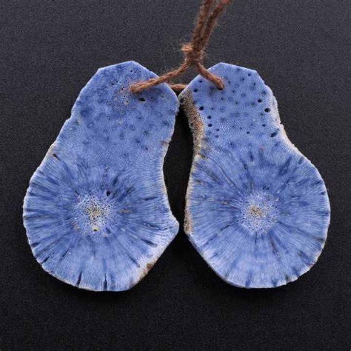 Drilled Freeform Natural Blue Sponge Coral Earring Pair Etsy
