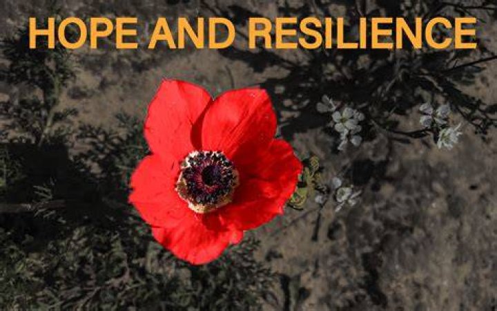 Dugard: A Story Of Resilience And Hope