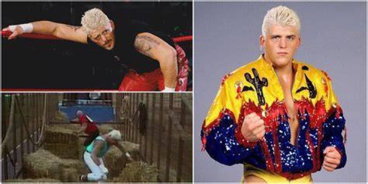 Dustin Rhodes WCW