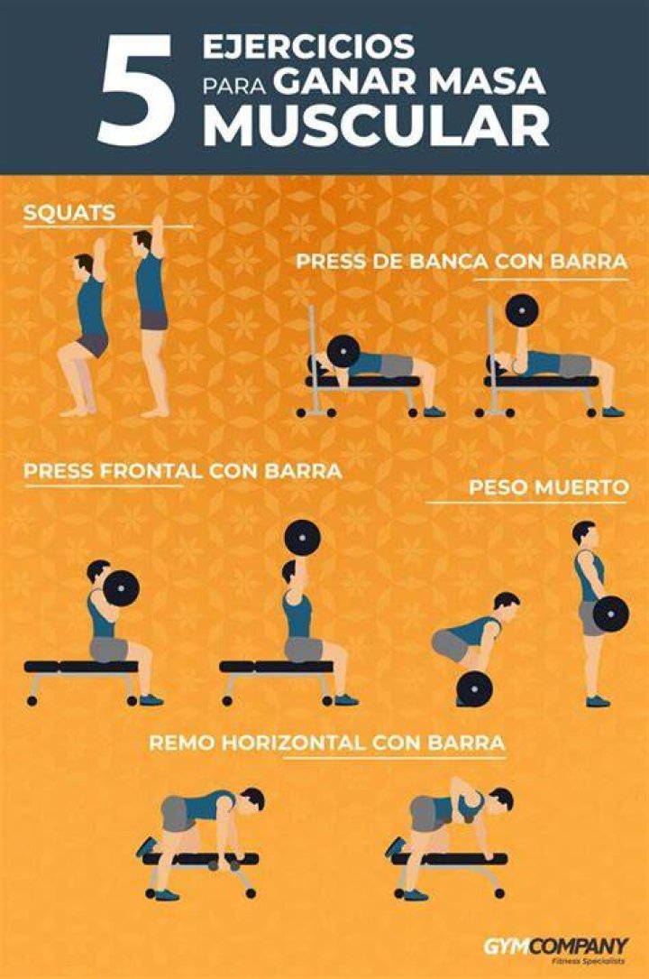 Ejercicios Para Ganar Masa Muscular En Casa Sin Pesas