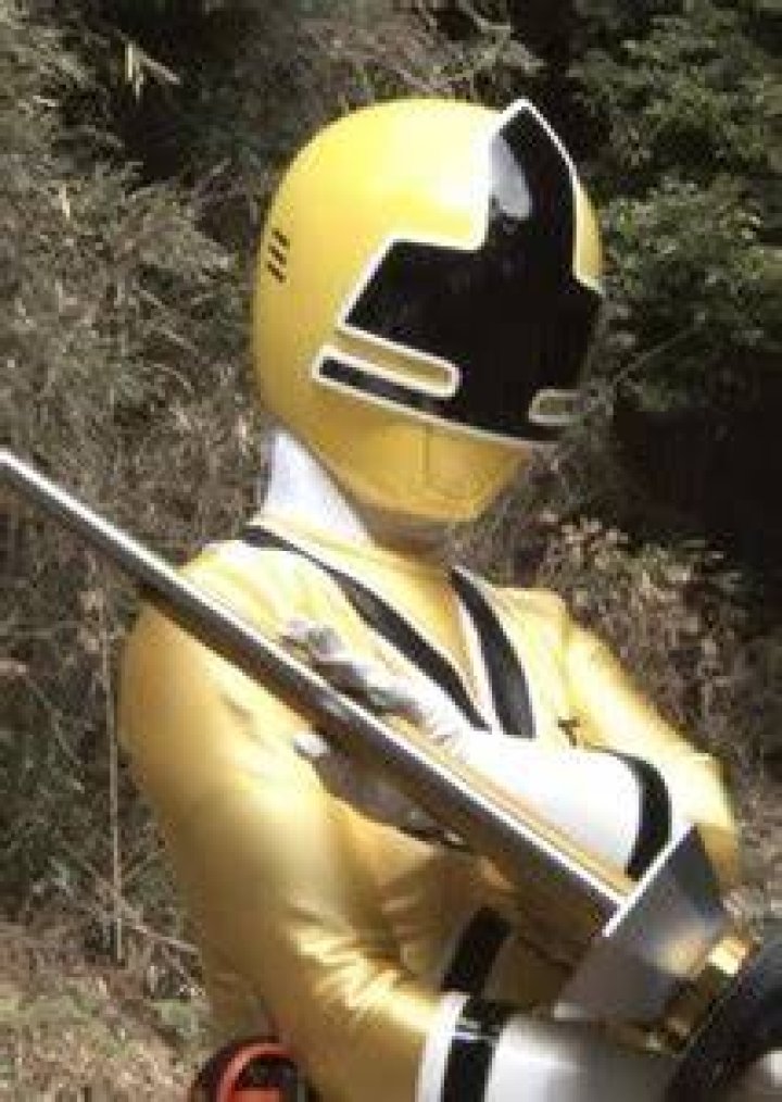 Emily Stewert/Yellow Samurai Ranger Fan Casting
