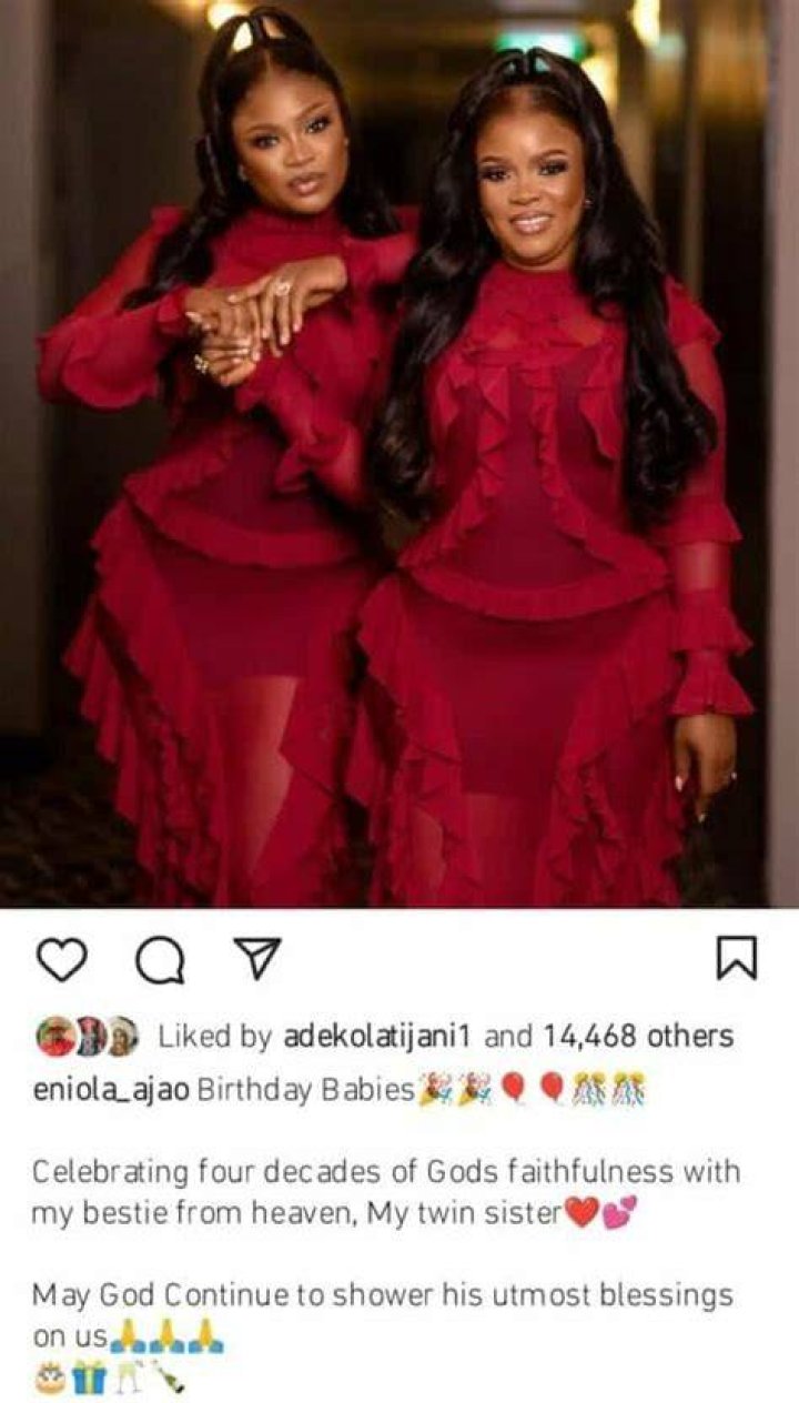 Eniola Ajao unveils her twin sister at birthday celebration (photos