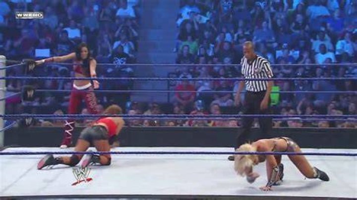 Eve Torres vs. Layla