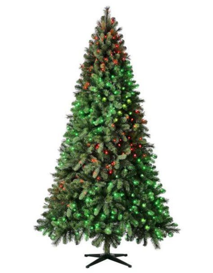 Evergreen Classics Twinkly Carolina Spruce