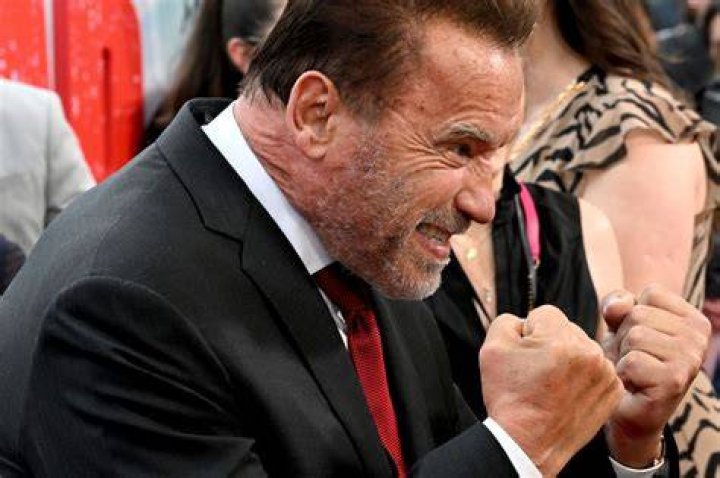 “Every Studio Executive Said, Are You Crazy?”: Arnold Schwarzenegger’s Risky
Self-Bet Ended Up Awarding Him a $35,000,000 Payday