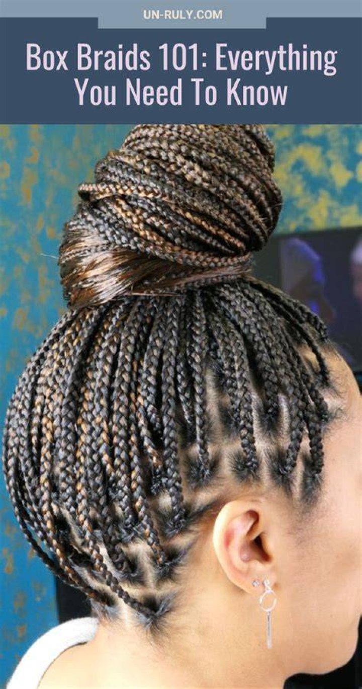 Everything You Need To Know About Updo Braids: A Comprehensive Guide