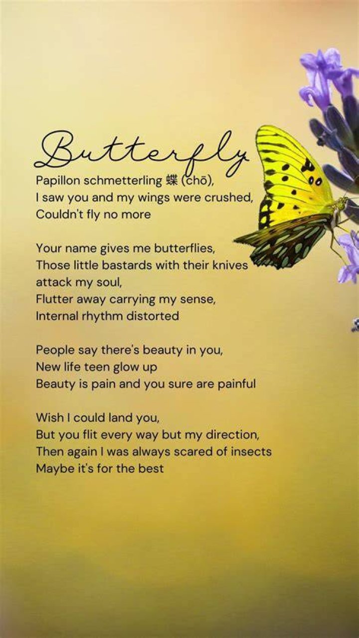 Exploring The Beauty And Meaning Of Butterfly Poems