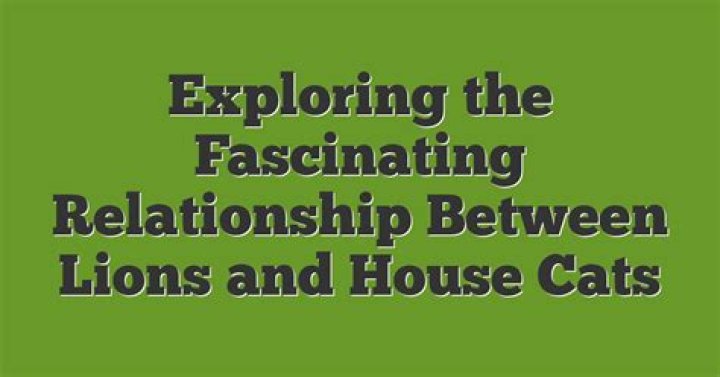 Exploring The Fascinating Relationship Of Noah Lalonde And His Partner