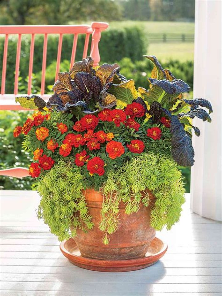 Fall Potted Plant Garden Arrangements with Various Fall Perennials potted in Autumn themed planters on a front porch of an unseen home