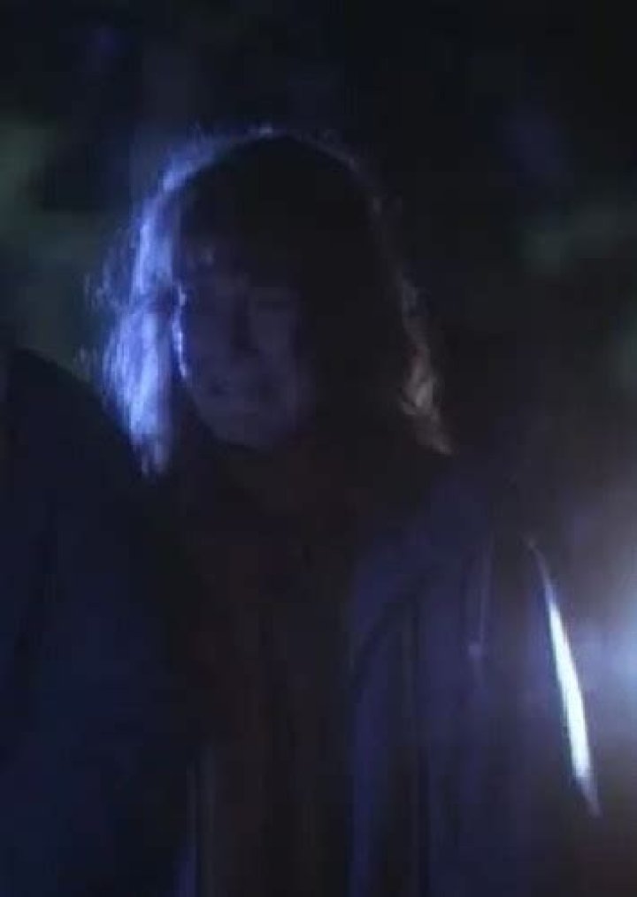 Fan Casting Bridget Fonda as Molly's Mother in Homeward Bound on myCast
