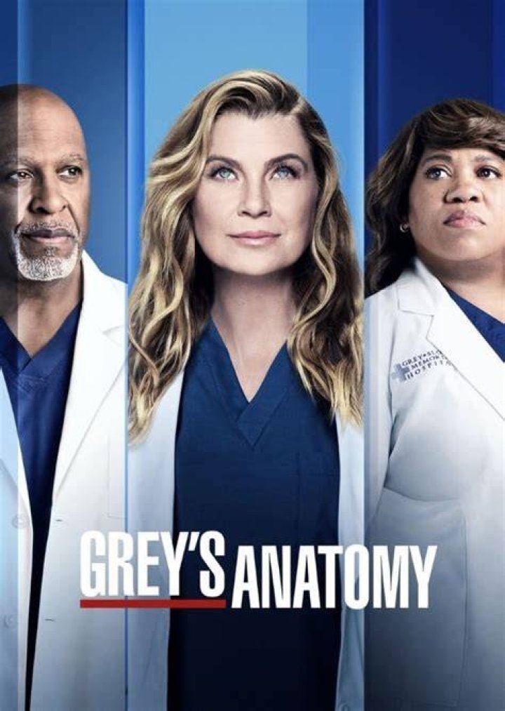 Fan Casting Brooke Shields as Ellis Grey in Grey's anatomy (2022) on myCast