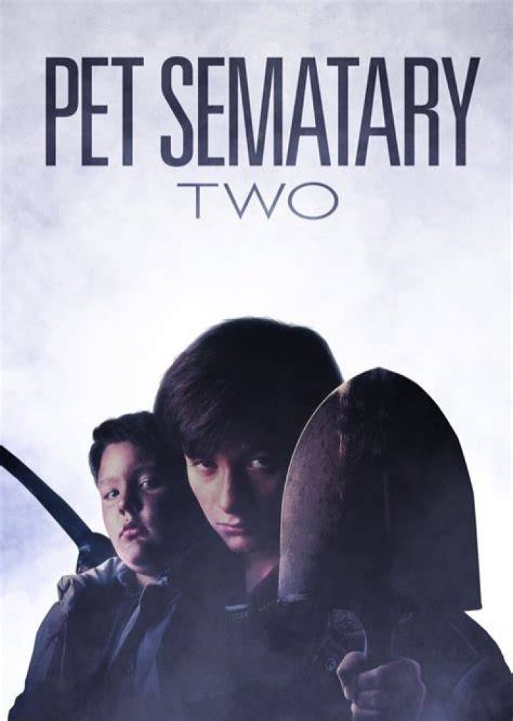 Fan Casting Dale Midkiff as Louis Creed in Pet Sematary Two (2022) on myCast