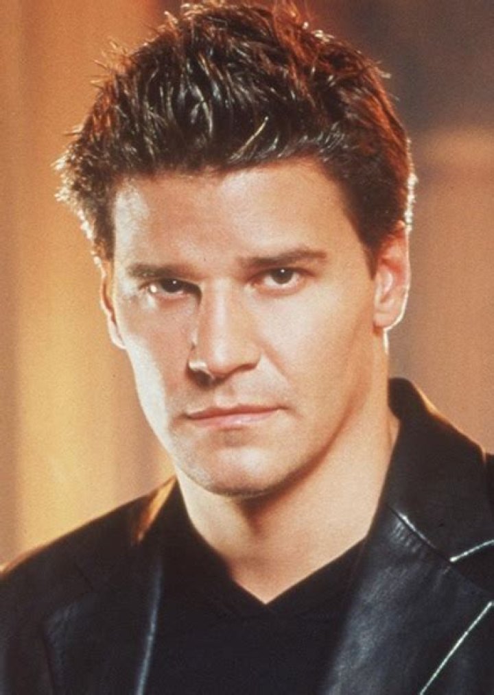 Fan Casting David Boreanaz as Stefan Salvatore in The Vampire Diaries (90s Cast) on myCast