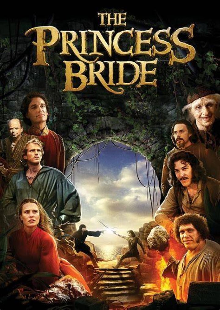 Fan Casting Fred Savage as The Grandson in Princess Bride: Retold on myCast