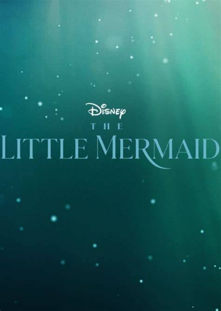 Fan Casting Halsey as Ariel in The Little Mermaid Live Action 2021 on myCast